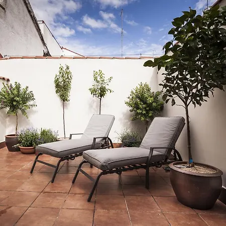 Mante House - Malasana Design 